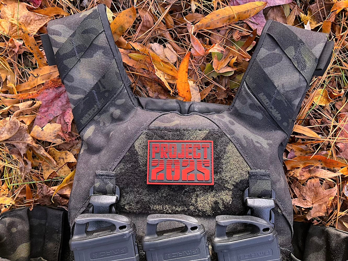 Project 2025 PVC Patch